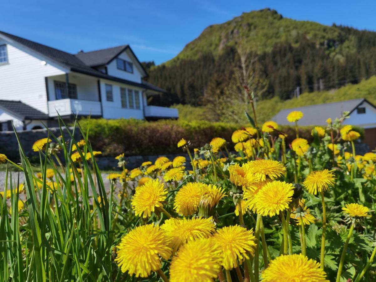 Banpim Hillside Lofoten With Jacusszi Gravdal  エクステリア 写真