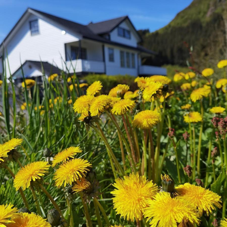 Banpim Hillside Lofoten With Jacusszi Gravdal  エクステリア 写真
